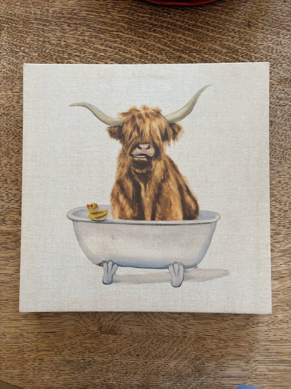 Yak in Bath 🐤